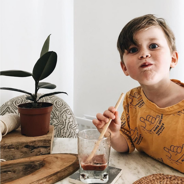 Bamboo Reusable Straw Set